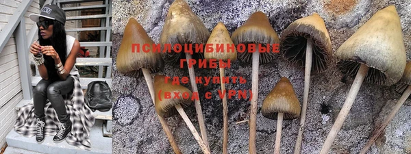 2c-b Новодвинск