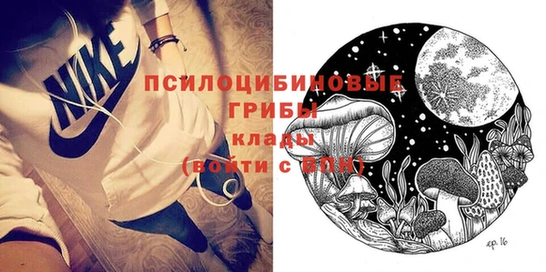 метадон Няндома